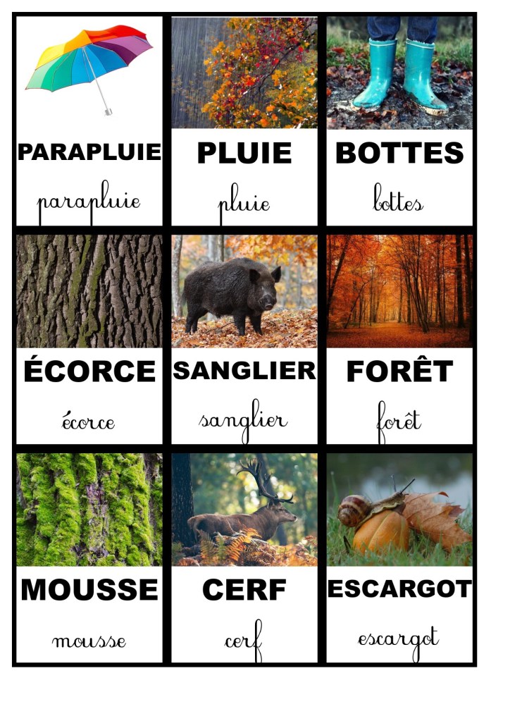 Cartes de nomenclature : l’automne