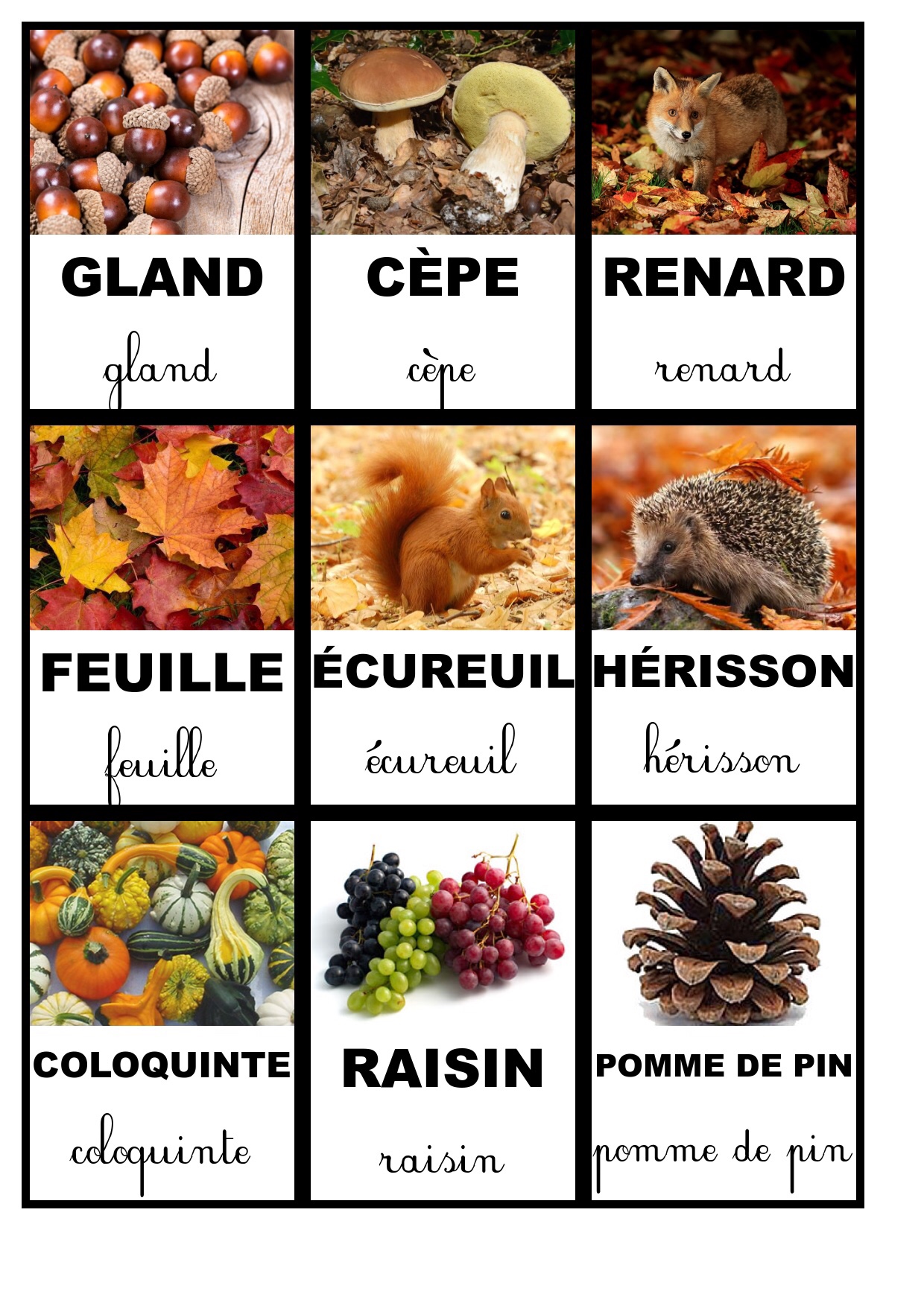 Cartes de nomenclature : l’automne