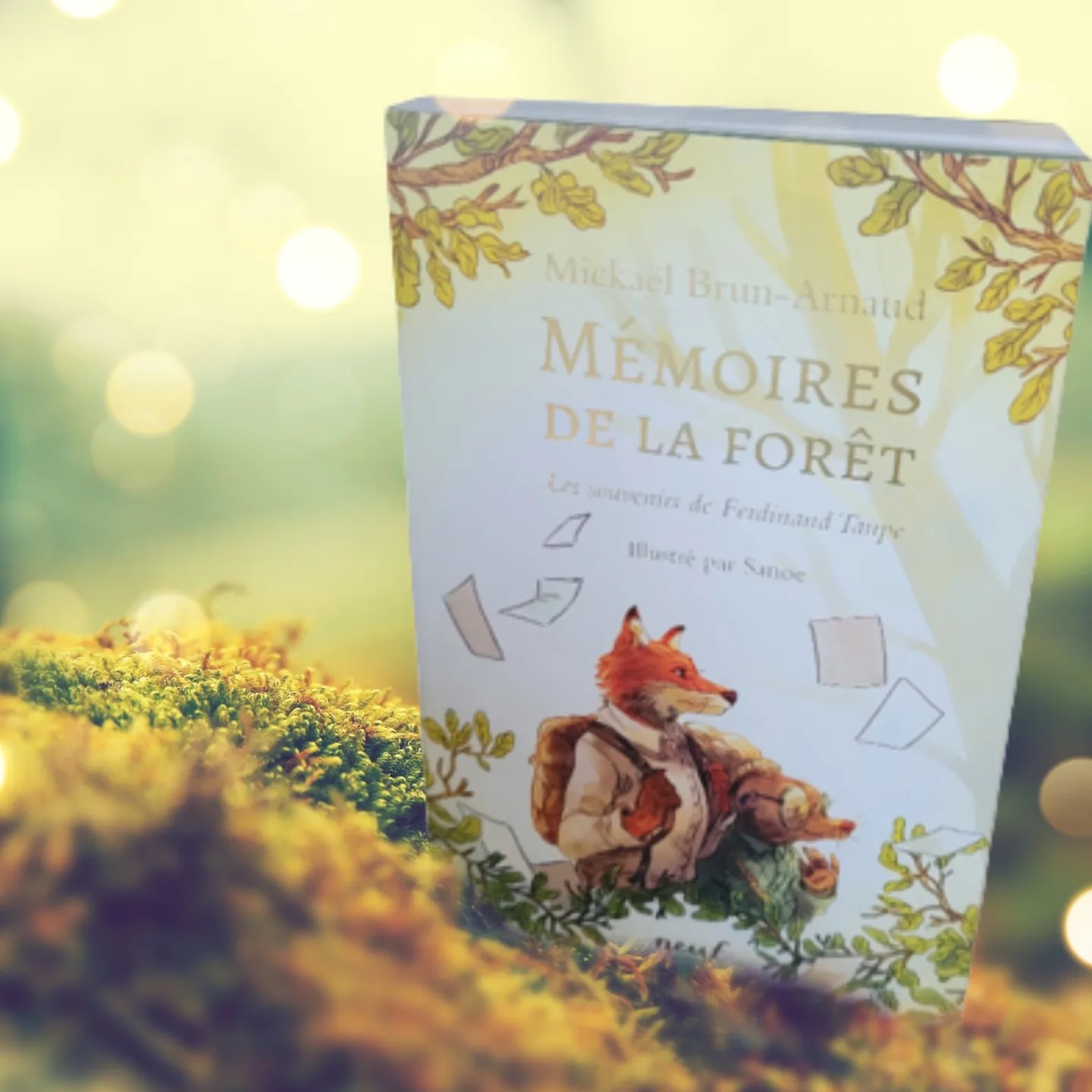 M moires De La For t Les Souvenirs De Ferdinand Taupe m-moires-de-la-for-t-les-souvenirs-de-ferdinand-taupe
